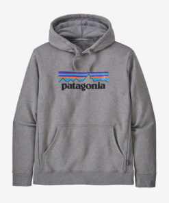 Grey Patagonia Hoodie