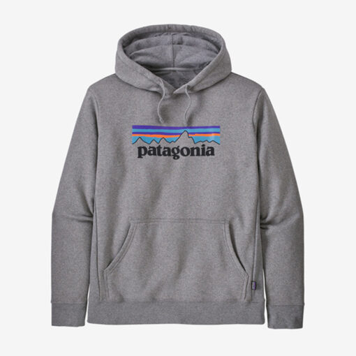 Grey Patagonia Hoodie