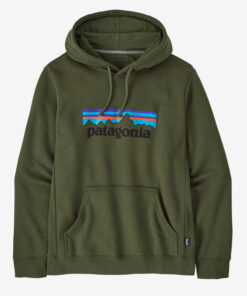 Patagonia Green Hoodie