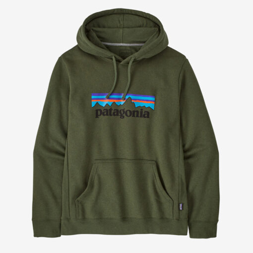 Patagonia Green Hoodie