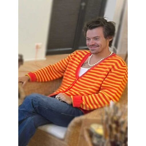 Harry Styles Cardigan