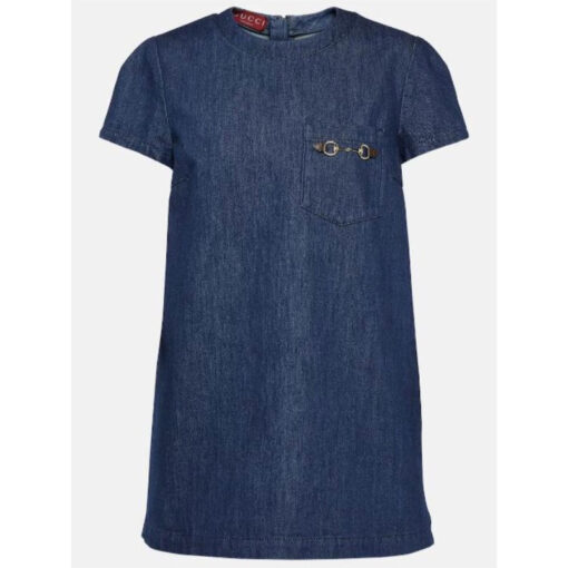 Olivia Munn Denim Mini Dress